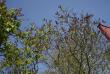 tn_gallery_4038_1848_411169.jpg