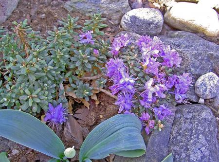 gallery_834_2340_119770.jpg
