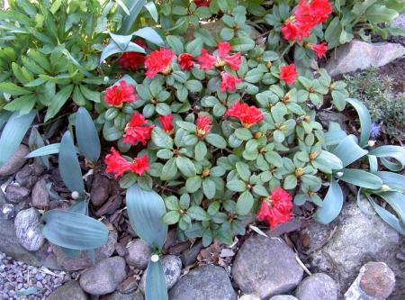 gallery_834_2340_28310.jpg