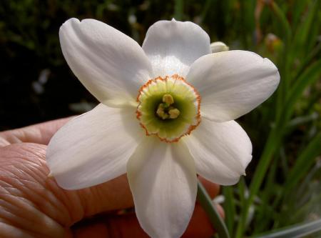 gallery_834_2340_32774.jpg