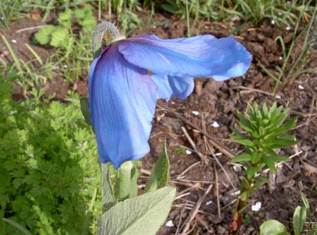 gallery_834_2340_4304.jpg