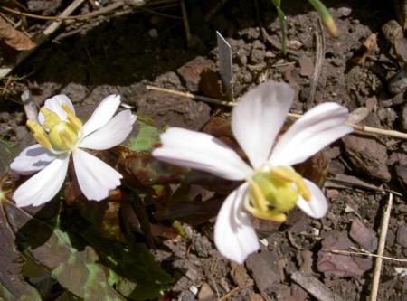 gallery_834_2340_78298.jpg