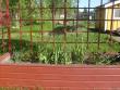 tn_gallery_10191_1987_150711.jpg