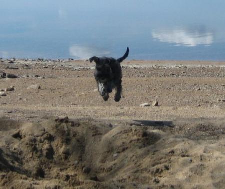 gallery_12343_2009_97169.jpg