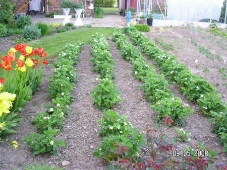 gallery_5587_1843_4378.jpg