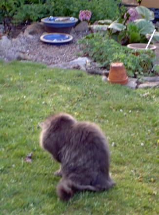 gallery_834_2340_33206.jpg