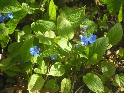 gallery_5006_2140_25614.jpg