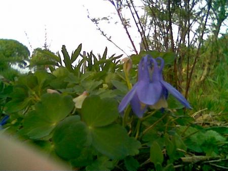 gallery_2460_1501_25160.jpg
