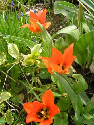 gallery_5006_2140_11043.jpg