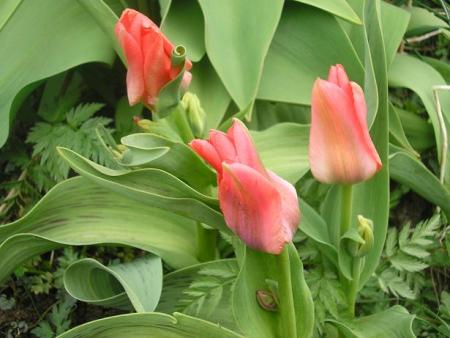 gallery_5006_2140_14044.jpg