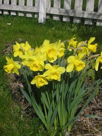 gallery_5006_2140_17172.jpg