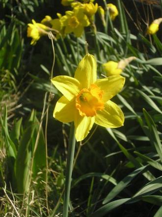 gallery_5006_2140_42675.jpg