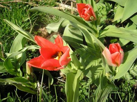 gallery_5006_2140_78270.jpg