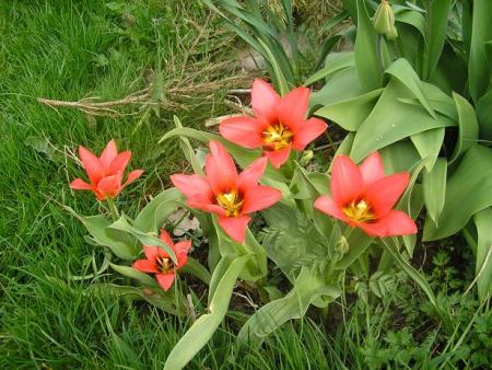 gallery_5006_2140_82580.jpg