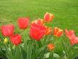 tn_gallery_5006_2140_43989.jpg