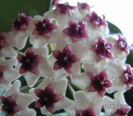 gallery_1786_2354_1810.jpg