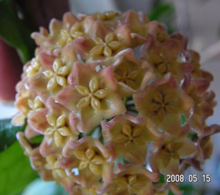 gallery_1786_2354_25329.jpg