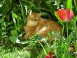 tn_gallery_352_1285_108774.jpg