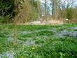 tn_gallery_365_272_94343.jpg