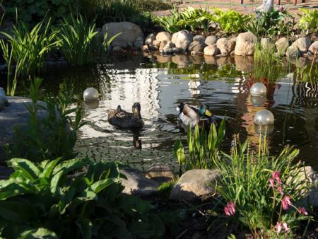 gallery_11521_2360_211328.jpg