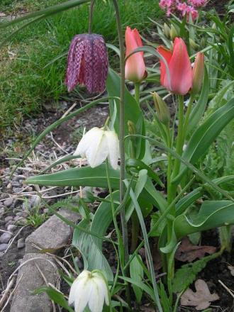 gallery_5006_2140_57091.jpg