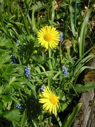 gallery_5006_2140_62832.jpg