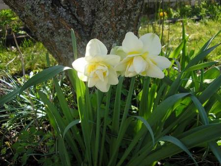 gallery_5006_2140_7234.jpg