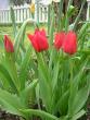 tn_gallery_5006_2140_29939.jpg