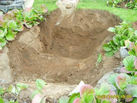 gallery_15994_2366_29950.jpg