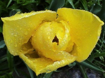 gallery_12948_2277_60204.jpg