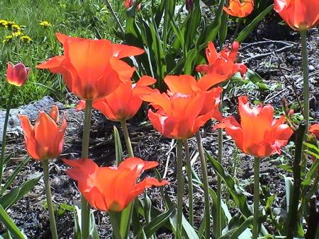 gallery_12948_2277_82183.jpg