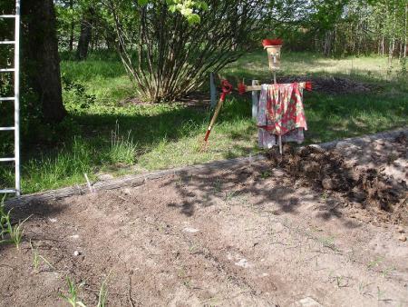 gallery_14610_2242_156296.jpg