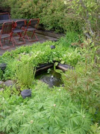 gallery_14751_2065_41335.jpg