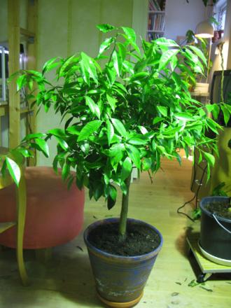gallery_14755_2374_181982.jpg