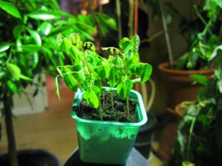 gallery_14755_2374_31604.jpg