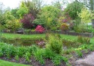 gallery_7131_1227_18227.jpg