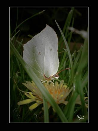 gallery_16205_2377_18227.jpg