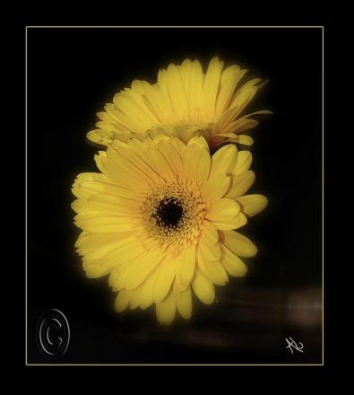 gallery_16205_2377_31471.jpg
