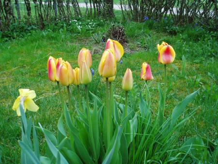 gallery_11526_2381_100097.jpg
