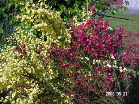 gallery_1786_950_122414.jpg