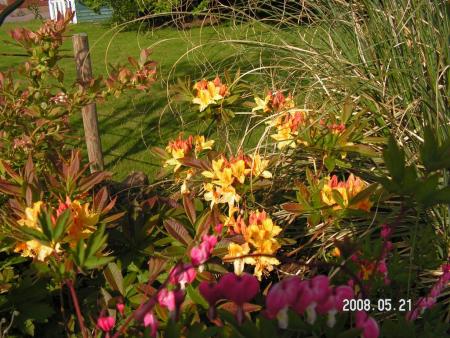 gallery_1786_950_66024.jpg
