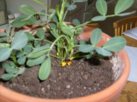 gallery_10191_2098_153816.jpg