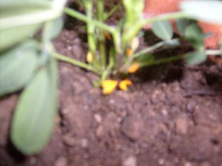gallery_10191_2098_34088.jpg
