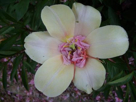 gallery_5307_2014_23243.jpg