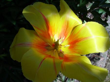 gallery_5307_2014_7842.jpg