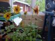 tn_gallery_10191_1987_40998.jpg