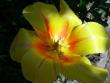 tn_gallery_5307_2014_7842.jpg