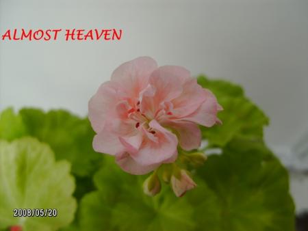 gallery_5074_1249_94270.jpg