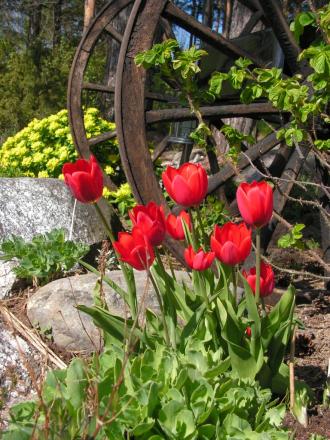 gallery_7500_2200_413743.jpg