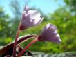 tn_gallery_2821_2099_18521.jpg
